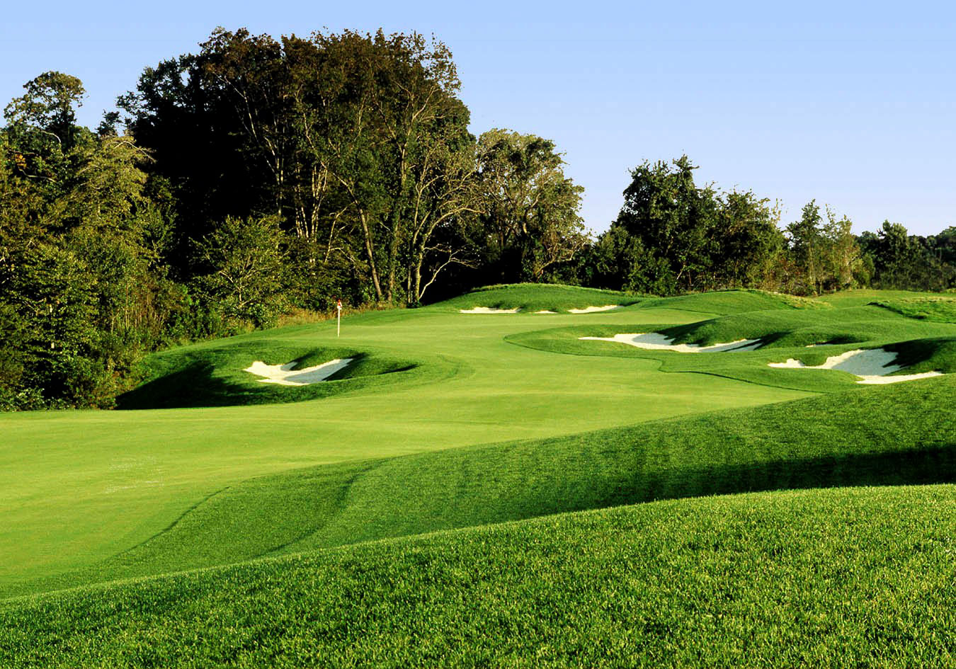 view of golf course with vibrant green layout